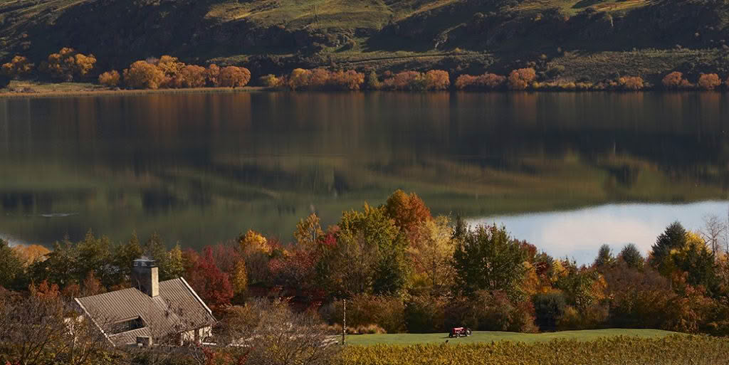 Amisfield-1045x524_0001_Amisfield Bistro @ Lake Hayes, Queenstown LANDSCAPE
