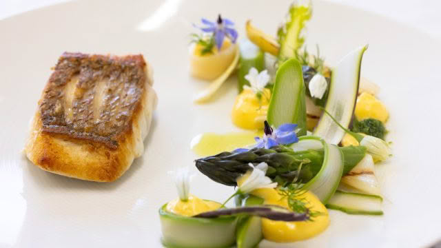 Camellia Restaurant – Snapper _ white & green asparagus _ hollandaise-2