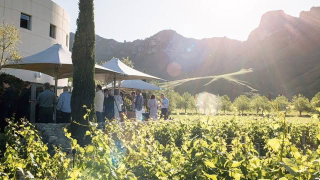 Craggy Range-1045x524_0002_FAWC-Summer-Kitchen-Garden-Nov-2022-40