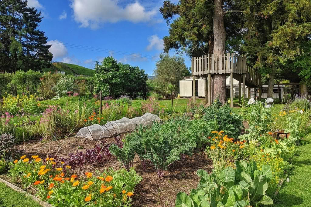 Cuisine-Good-Food-Guide-2024-The-Falls-Retreat-7