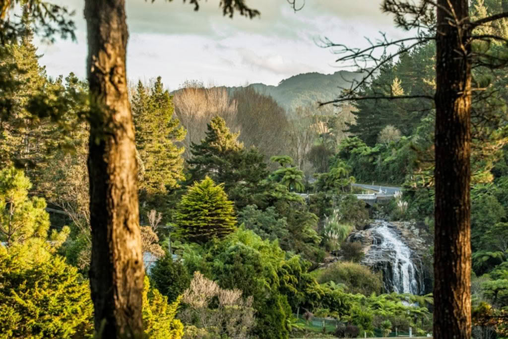 Cuisine-Good-Food-Guide-2024-The-Falls-Retreat-8
