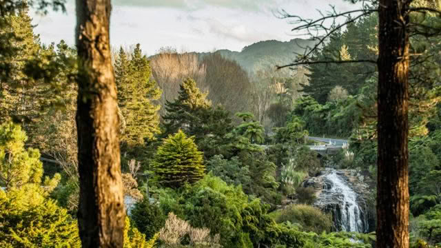 Cuisine-Good-Food-Guide-2024-The-Falls-Retreat-8