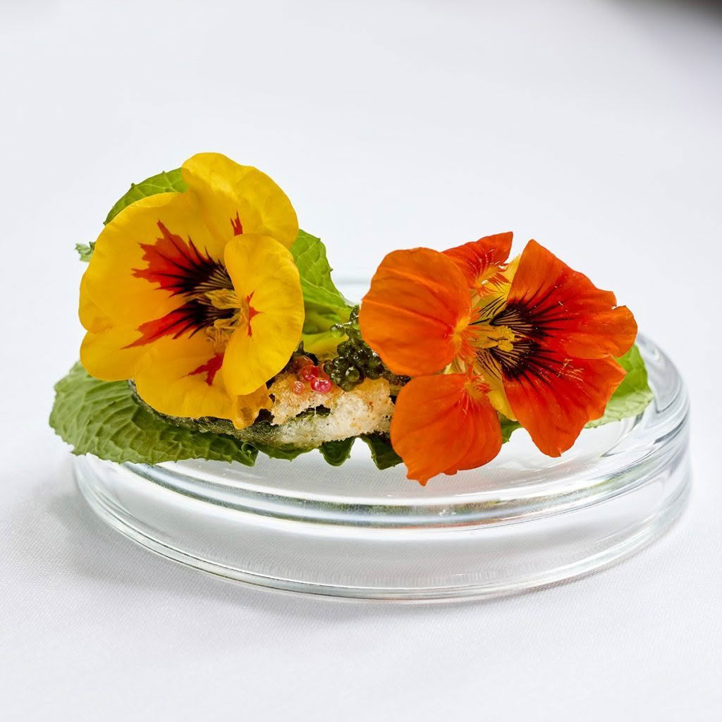 Cuisine-Good-Food-Guide-2024-The-Grove-Restaurant-7