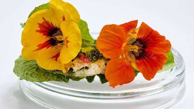Cuisine-Good-Food-Guide-2024-The-Grove-Restaurant-7