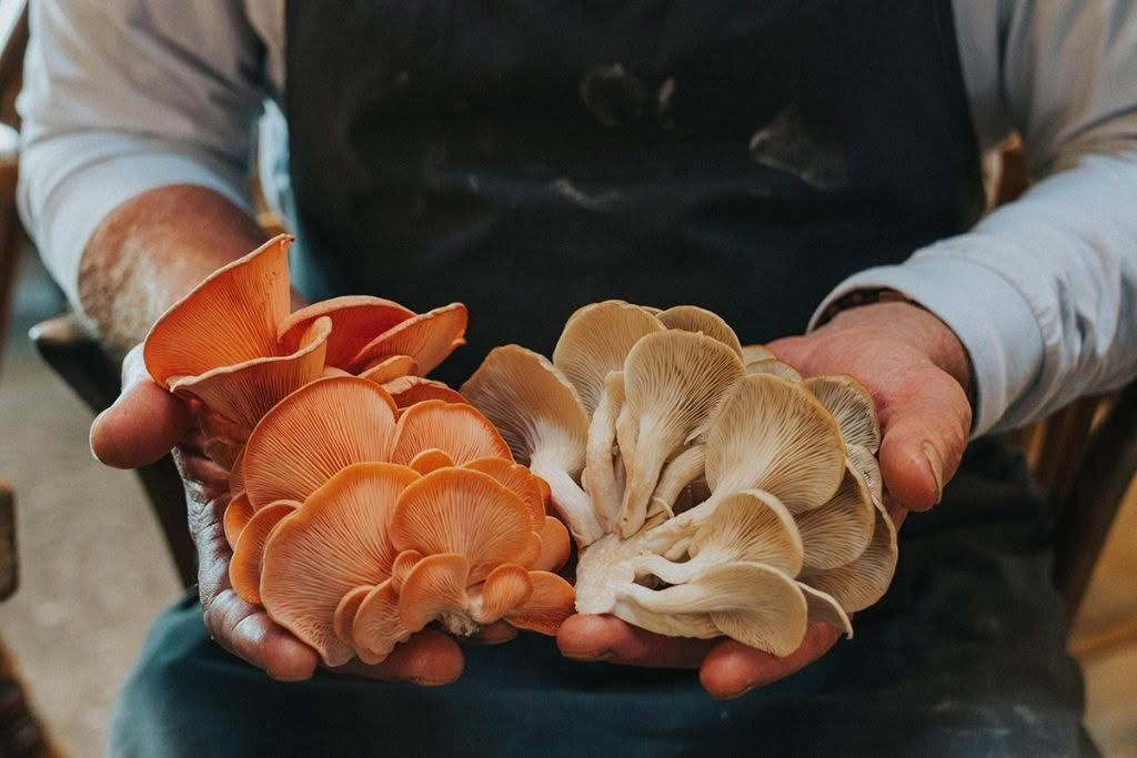 Cuisine-Good-Food-Guide-2024-The-Headwaters-1