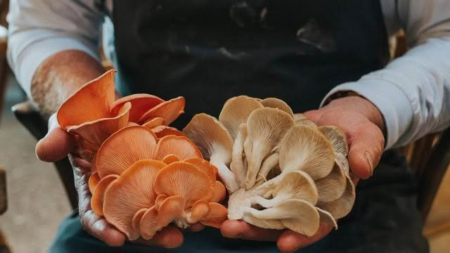 Cuisine-Good-Food-Guide-2024-The-Headwaters-1