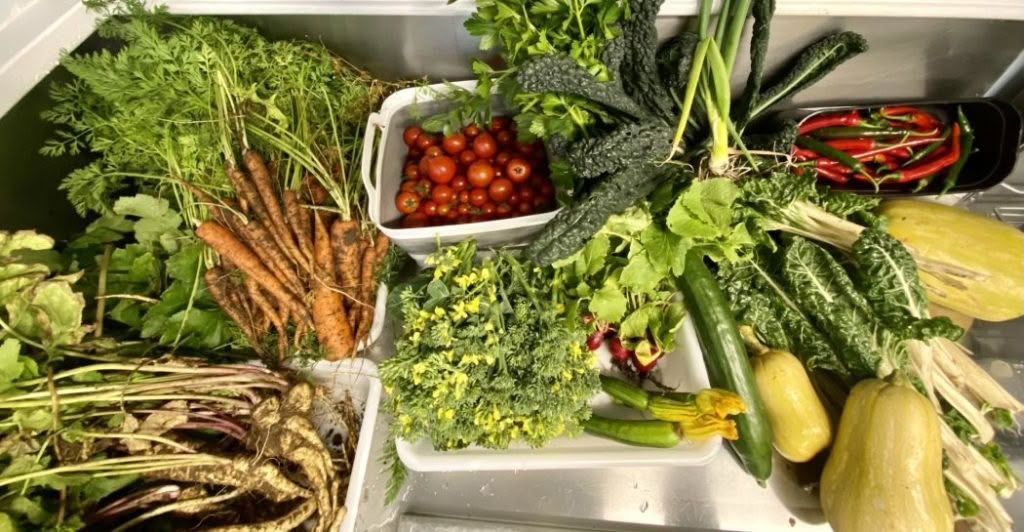 Cuisine Good Food Guide 2025 Elegance at 148 on Elles Chefs Garden
