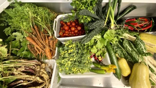 Cuisine Good Food Guide 2025 Elegance at 148 on Elles Chefs Garden
