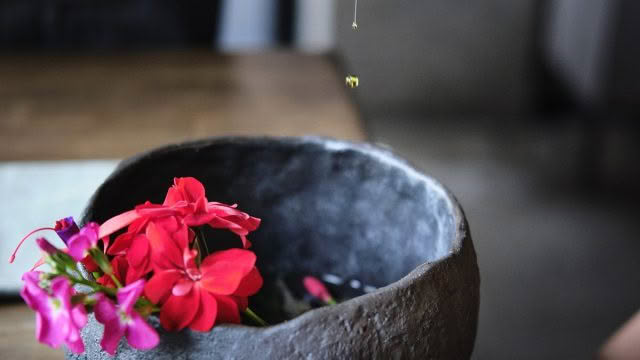 Cusine-Good-Food-Guide-2024-Tala-Handwash-ritual-step-4-oil