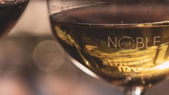 Noble-Rot-Cuisine-Good-Food-Guide-2024-1