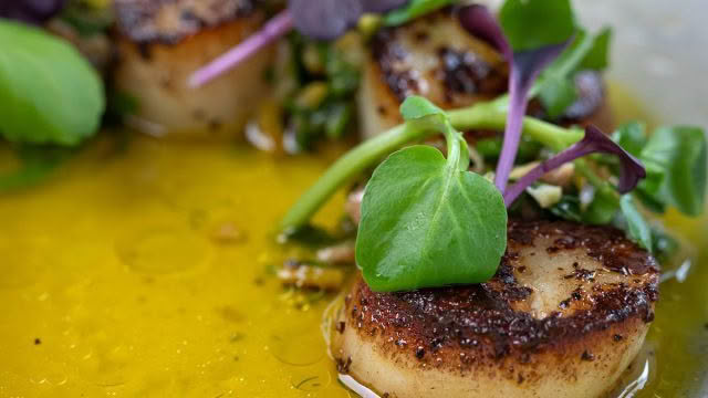 Poco-Cuisine-Good-Food-Guide-2024-4