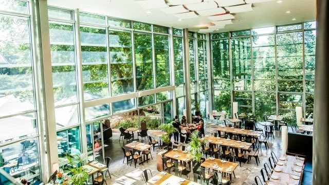 Restaurant – Summer view