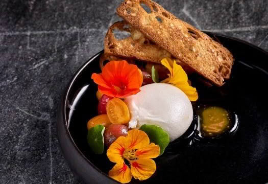 aryeh_entree_burrata with curious cropper tomatoes, foccacia croccante credit babiche martens 61