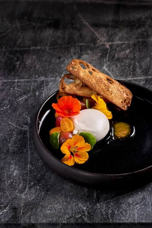 aryeh_entree_burrata with curious cropper tomatoes, foccacia croccante credit babiche martens 61
