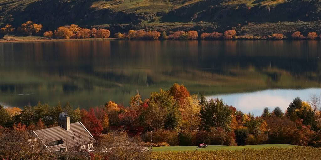 Amisfield-1045x524_0001_Amisfield-Bistro-@-Lake-Hayes-Queenstown-LANDSCAPE.jpg