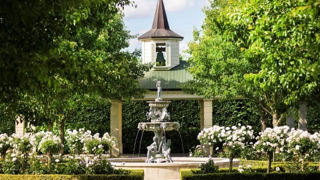 Cuisine Good Food Guide 2025 Bushmere Arms Garden