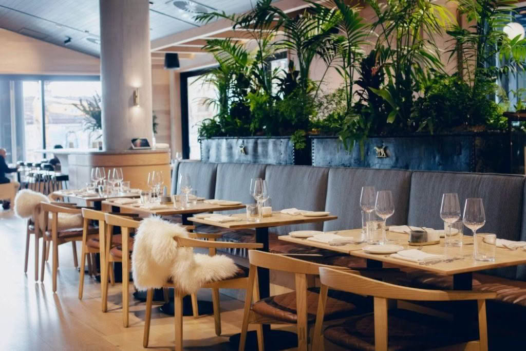 Cuisine Good Food Guide 2025 The Lodge Bar & Dining Auckland 1