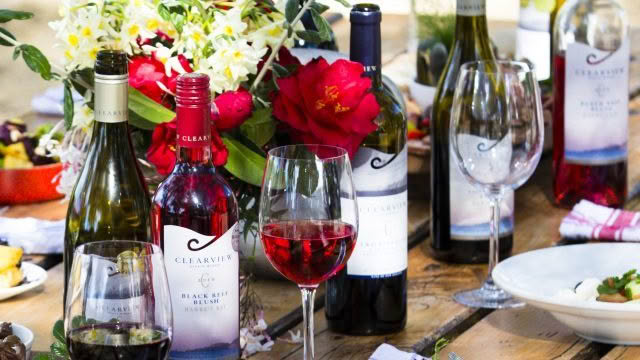 Clearview Estate Winery  – Business Lifestyle Photography by Hawke’s Bay Photographer John Miles Photography