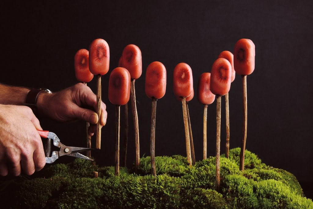 Cuisine Good Food Guide 2026 Ahi_Red Kiwi Popsicle_credit Josh Griggs