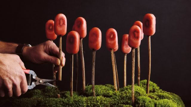 Cuisine Good Food Guide 2026 Ahi_Red Kiwi Popsicle_credit Josh Griggs