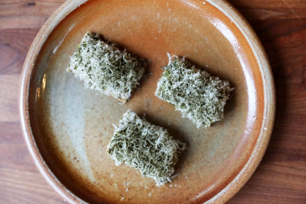 Cuisine Good Food Guide 2026 Alma Auckland Leek, manchego, guindilla tostadas