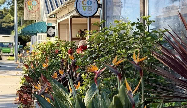Cuisine Good Food Guide 2026 Cove Cafe COVE Front