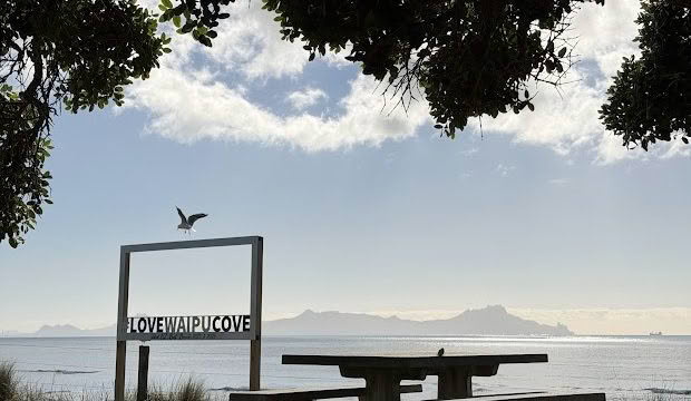 Cuisine Good Food Guide 2026 Cove Cafe COVE scenic