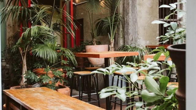 Cuisine Good Food Guide 2026 Cuba St Tavern (10)