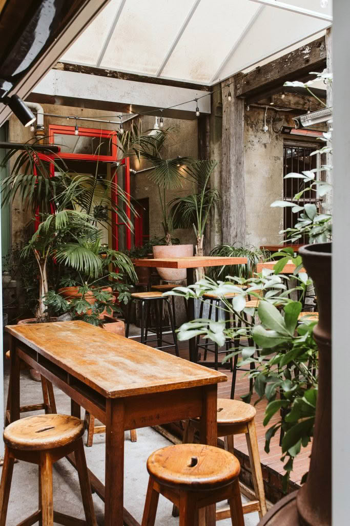 Cuisine Good Food Guide 2026 Cuba St Tavern (10)