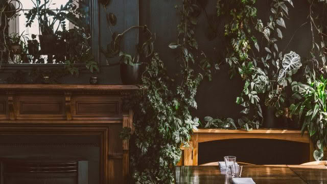 Cuisine Good Food Guide 2026 Cucina RACHELWYBROWPHOTOGRAPHY (1)