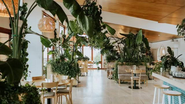 Cuisine Good Food Guide 2026 Del mar rachelwybrowphotography (1)