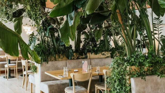 Cuisine Good Food Guide 2026 Del mar rachelwybrowphotography (3)