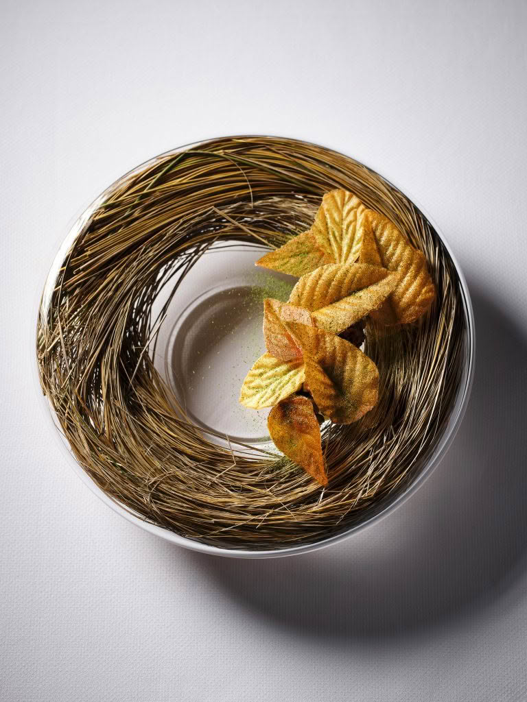 ROKI Collection • Paul Froggatt