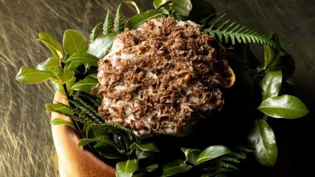 Cuisine Good Food Guide 2026 Inati to Share EARTH_ Cashew nut, tamarillo, cardamom & white truffle, credit Jerome Warburton