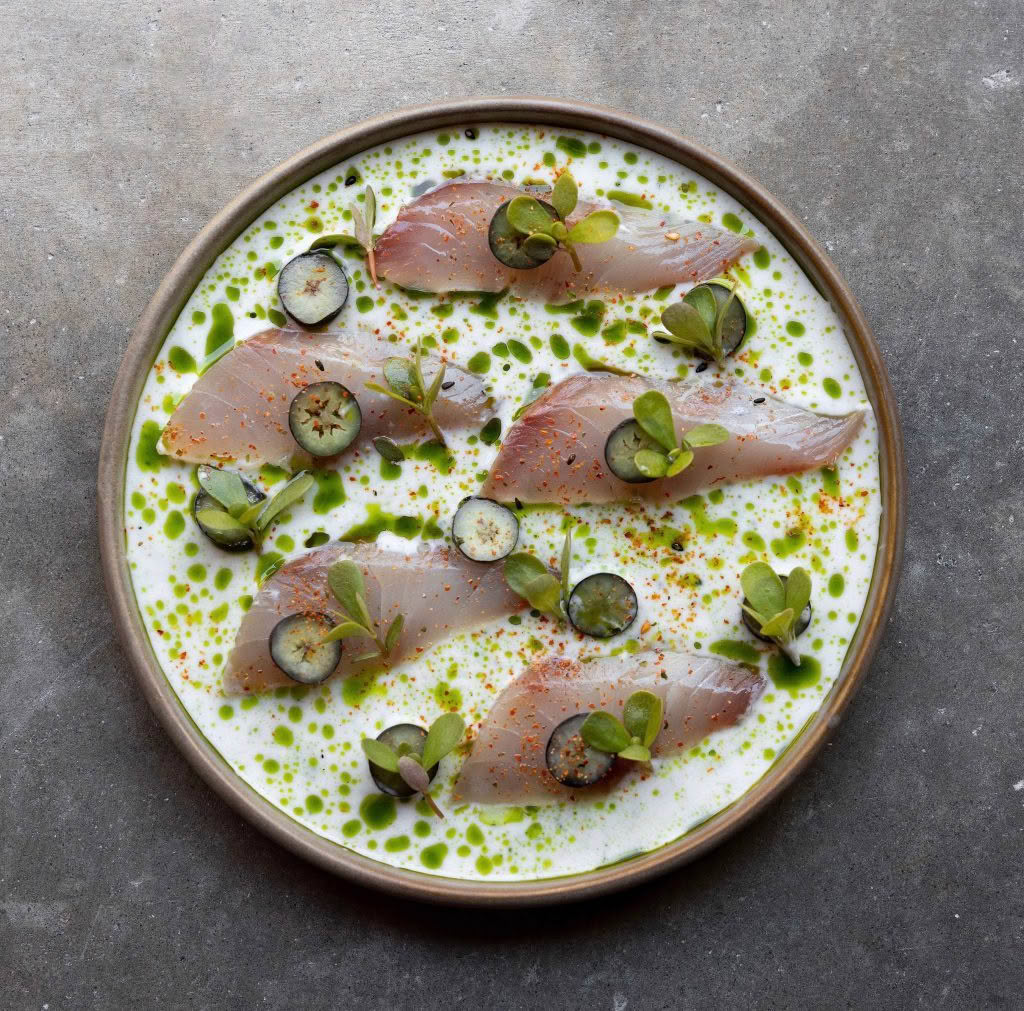 Cuisine Good Food Guide 2026 Sherwood Starter_TreallyCrudo,Blueberry,Buttermilk,Tarragon_InSherwood_JonoParker_