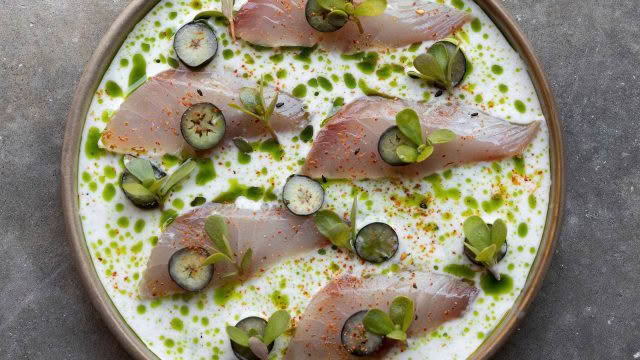Cuisine Good Food Guide 2026 Sherwood Starter_TreallyCrudo,Blueberry,Buttermilk,Tarragon_InSherwood_JonoParker_