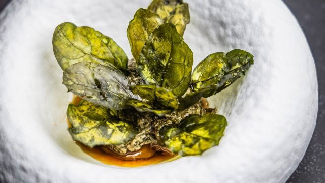 Cuisine Good Food Guide 2026 Tala Pickled Mushrooms accompanying Panikeke_CREDIT_That Green Olive