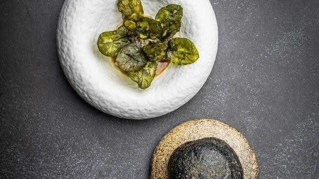 TALA_34_Panikeke_CREDIT_That Green Olive