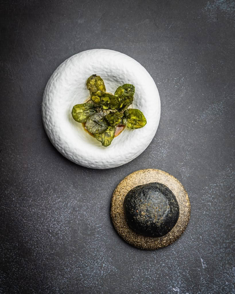 TALA_34_Panikeke_CREDIT_That Green Olive